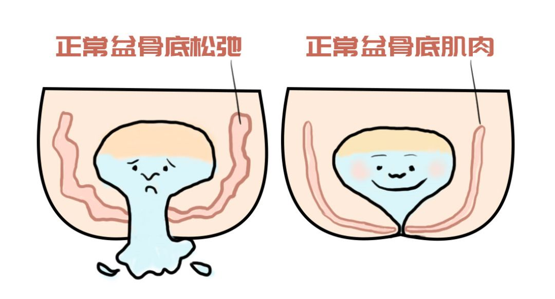 20241129983954.png 图片2.png