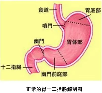 640.webp (2).jpg